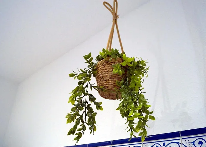 Hanna Bitterfeld-Wolfen